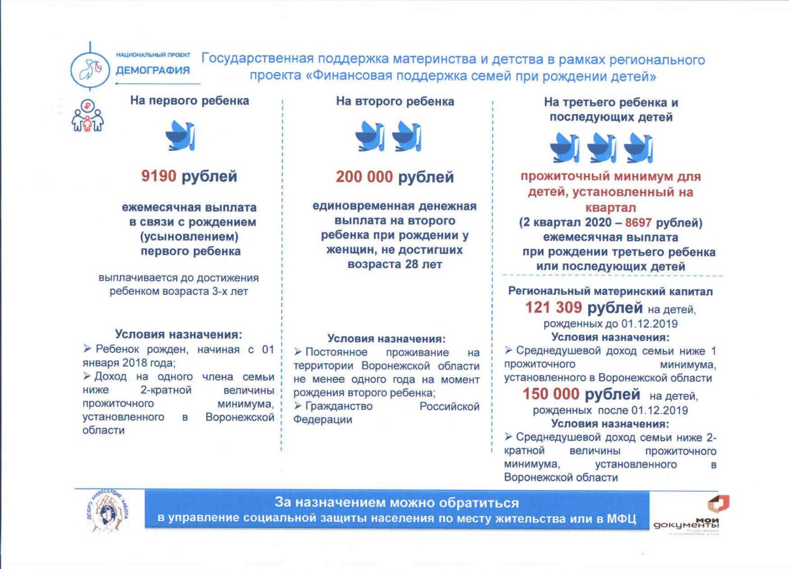 Государственная поддержка материнства и детства в рамках регионального  проекта «Финансовая поддержка семей при рождении детей»